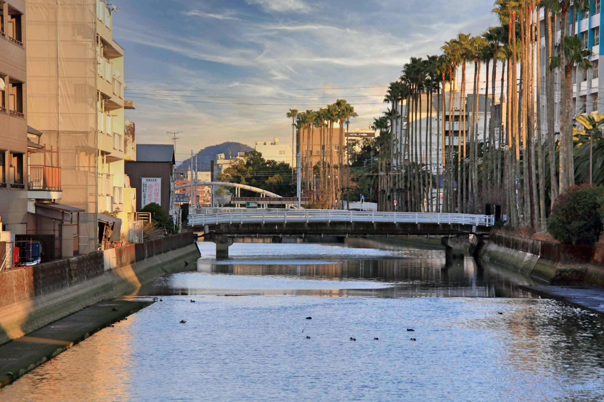 香南市夜須町仲木屋のメイン画像