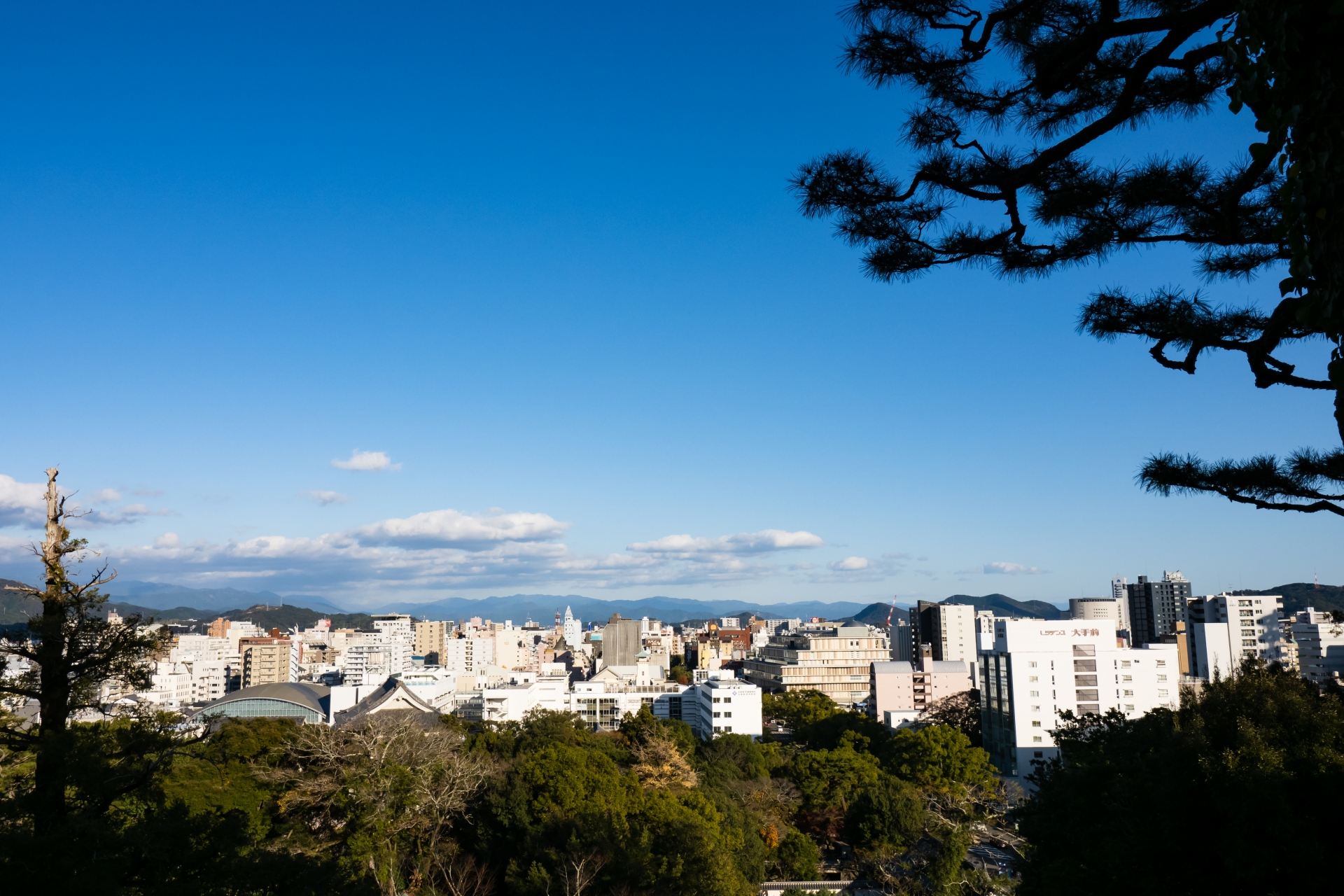 高知市土佐山中切のメイン画像